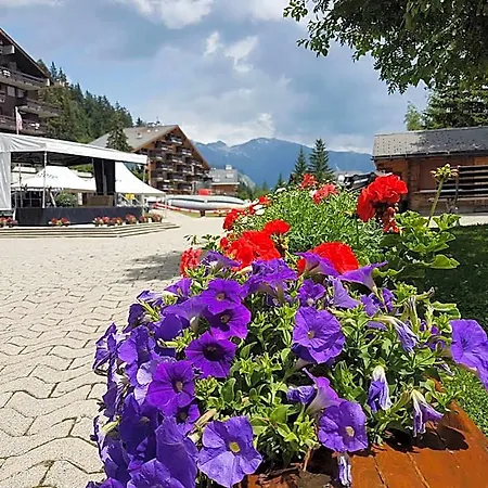 Vandrerhjem Holidays Groupes