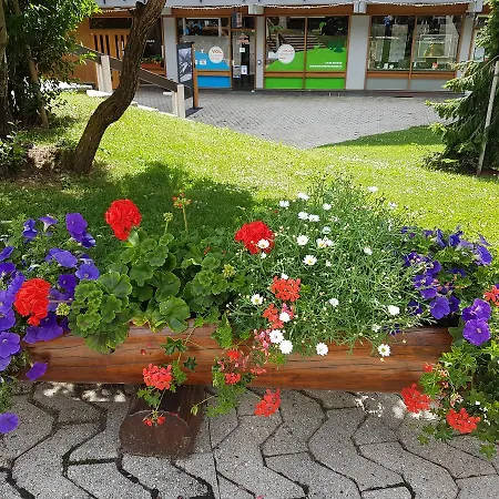 Holidays Groupes Anzère